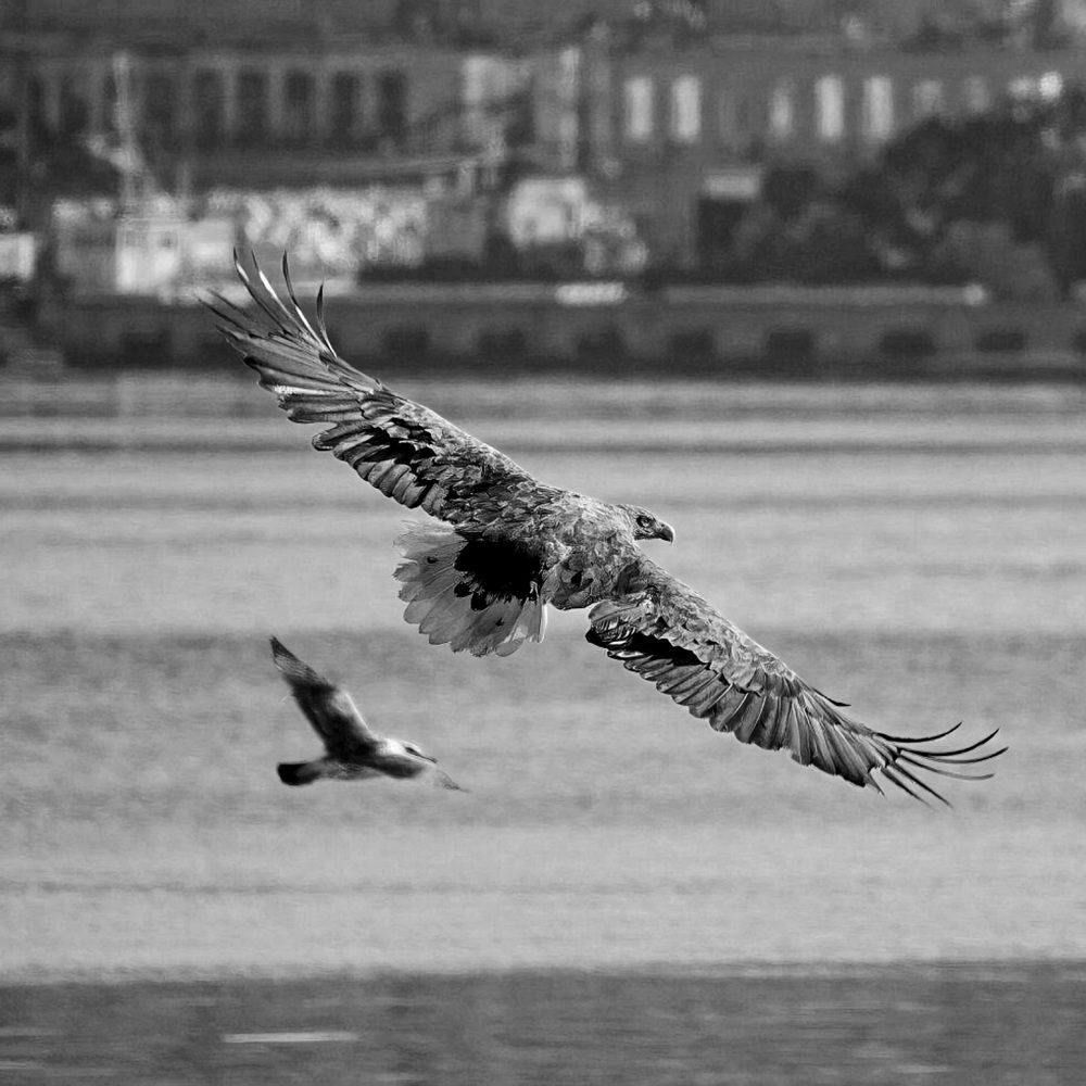 Зацени размерчик!