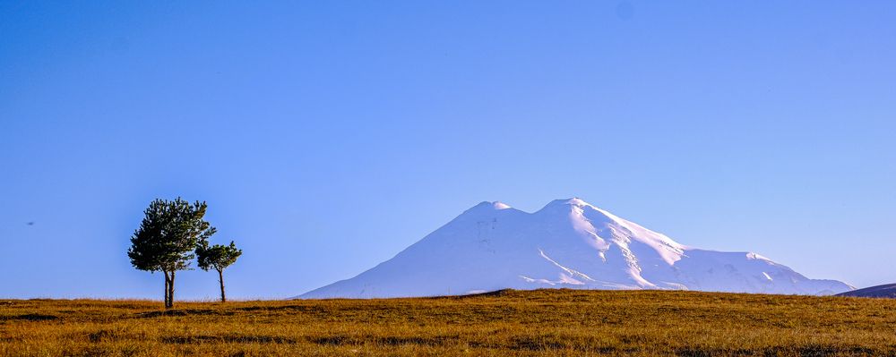 Photograph by Diana Greske