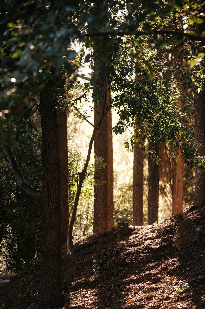 Photograph by Vladlena Sigal