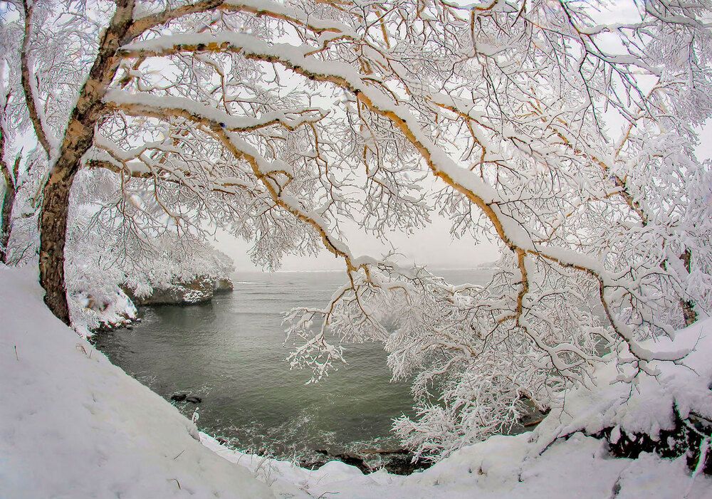 Photograph by Валерий Платонов