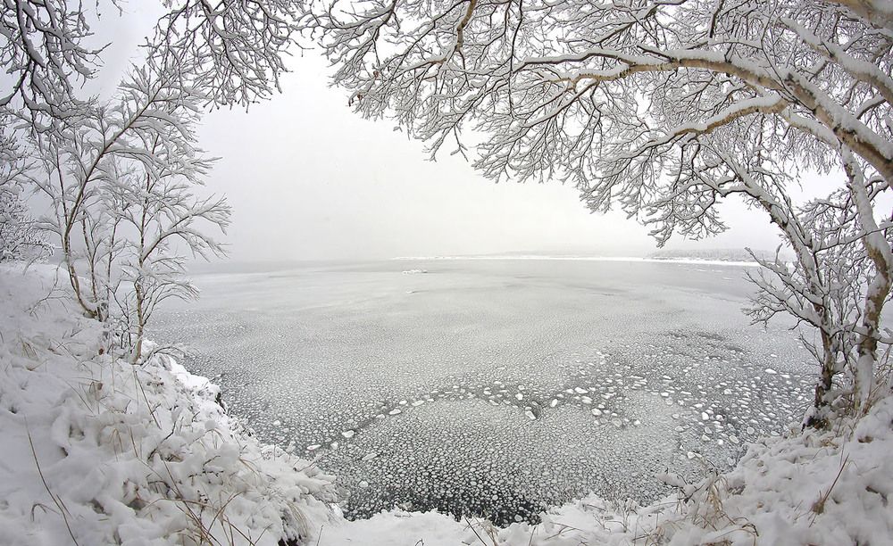 Photograph by Валерий Платонов