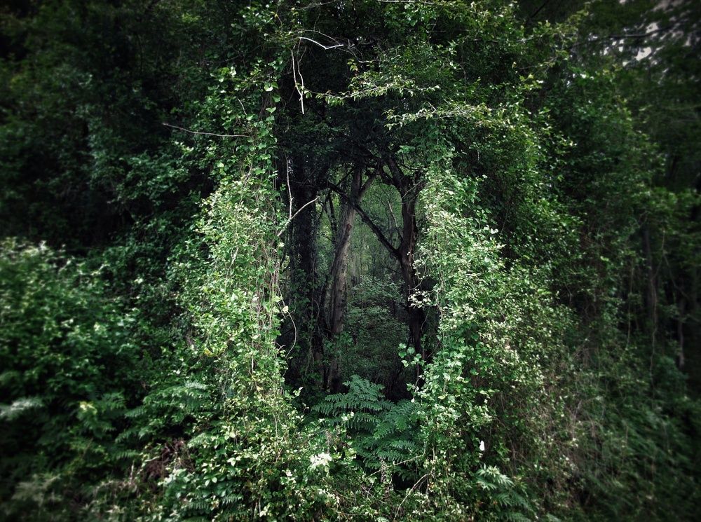 Photograph by Екатерина Салий