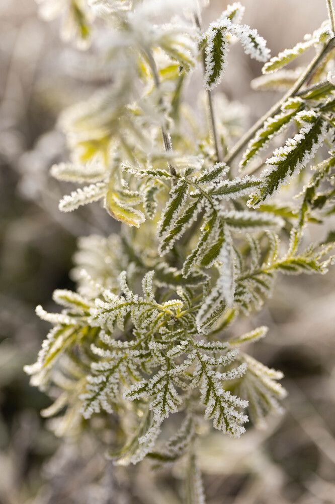 Photograph by Анастасия Воропаева