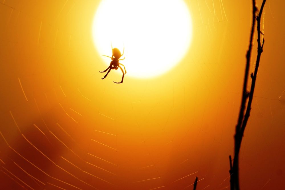 Photograph by Валерий