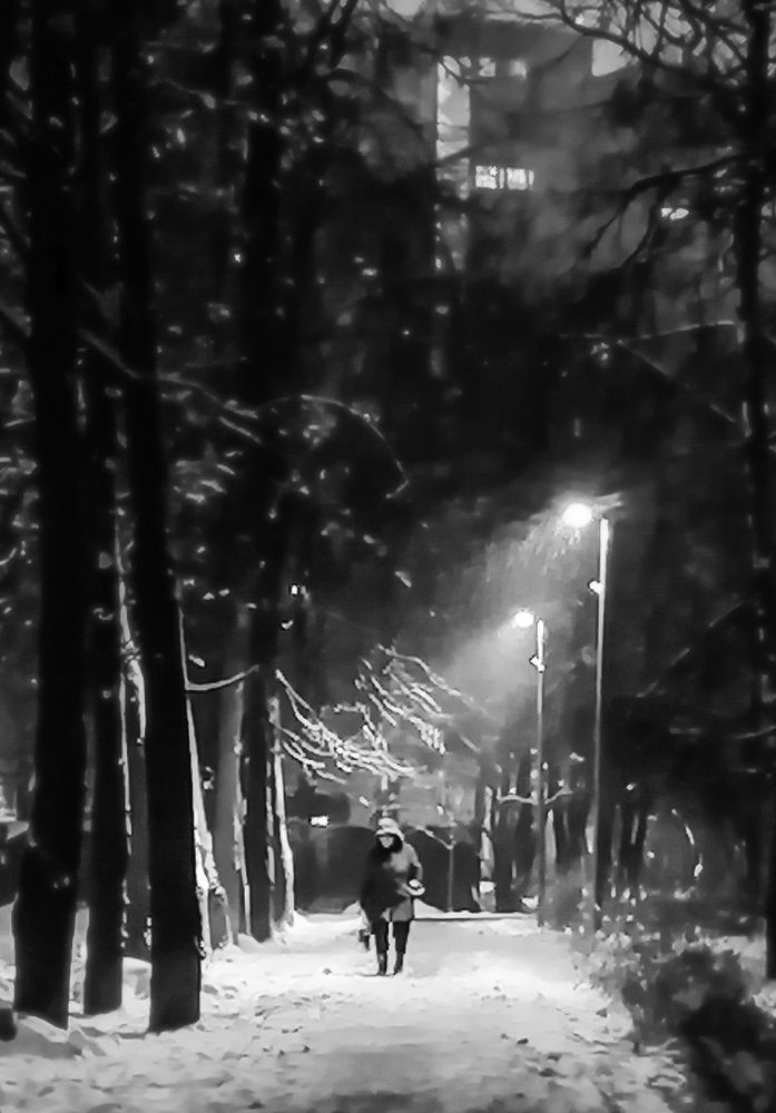 Photograph by Diana Greske