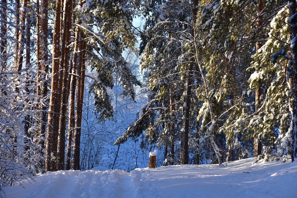 Photograph by Александр Рудаков