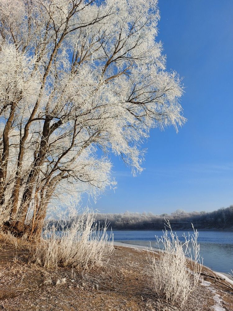 Photograph by Наталья Дубовкина