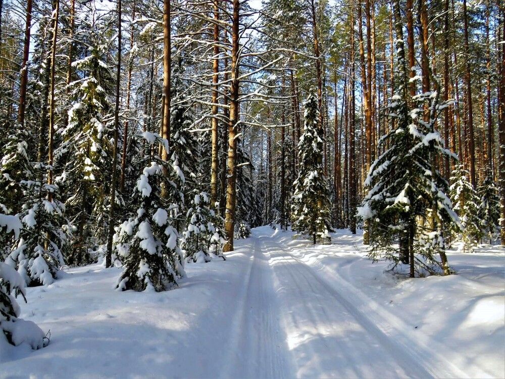 Photograph by Ольга Митрофанова