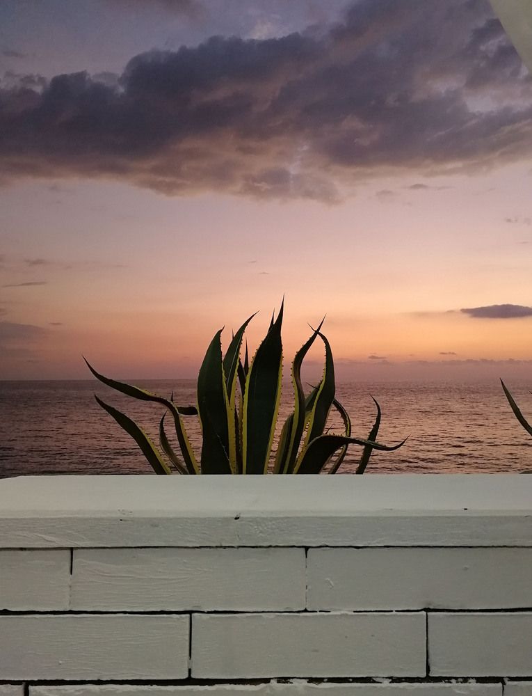 Photograph by Марина