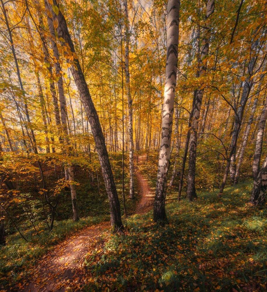 Фотография автора Бушмакин Егор