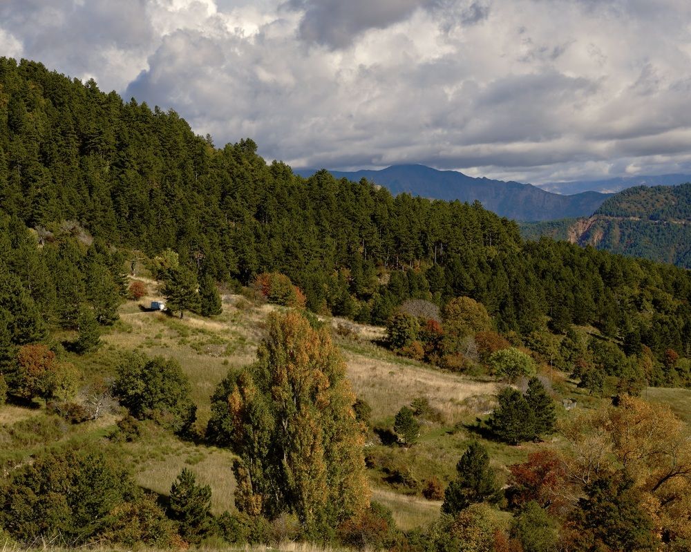 Photograph by Marina Odintsova