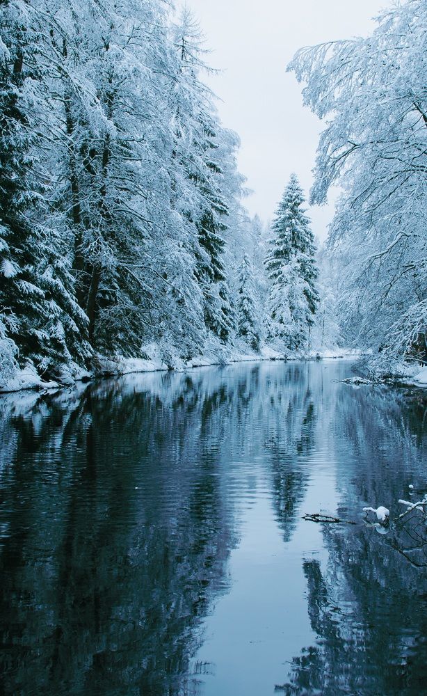 Photograph by Alexey S