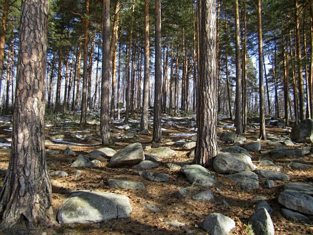 Photograph by Наталья Дубовкина