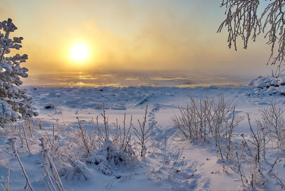 Photograph by Харламова Валентина