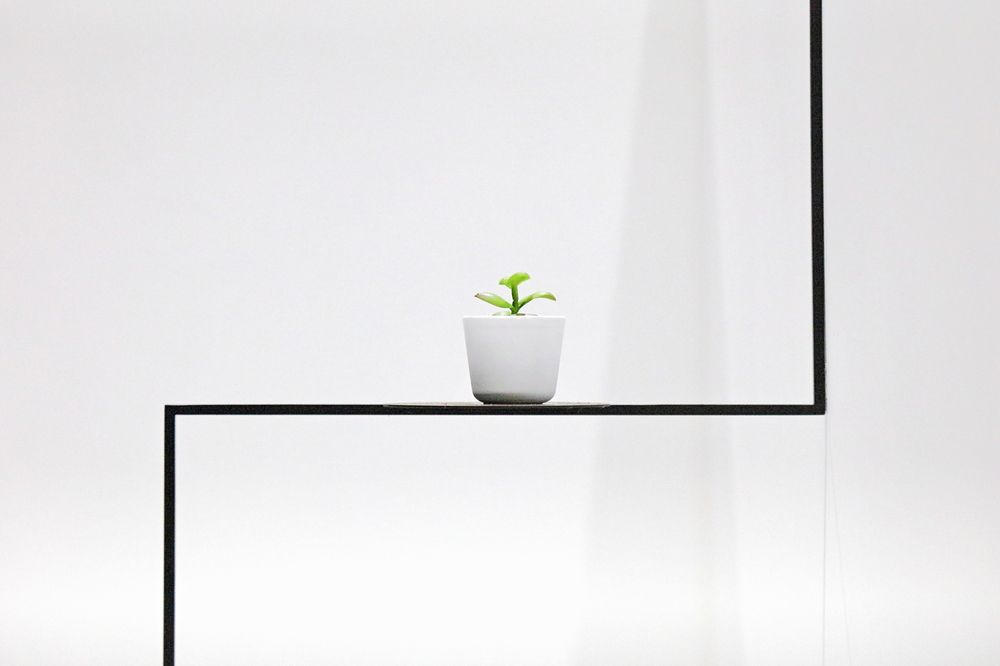 Photograph by Geert Blauwblomme