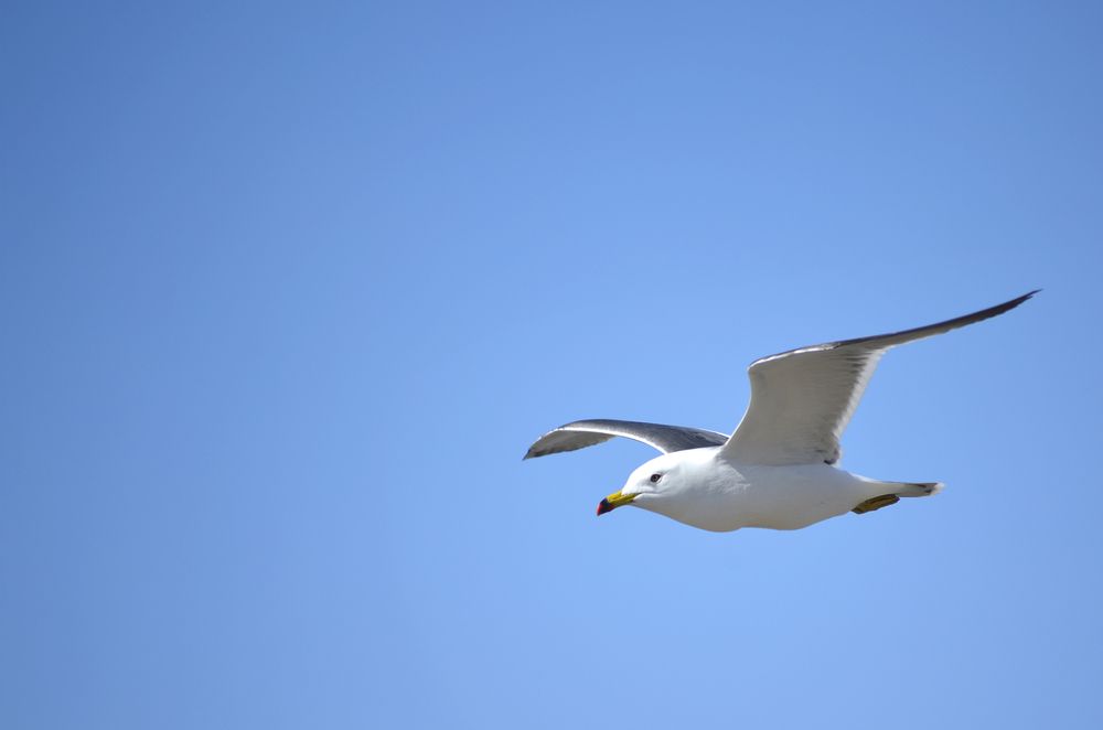 Photograph by Вероника Романенко