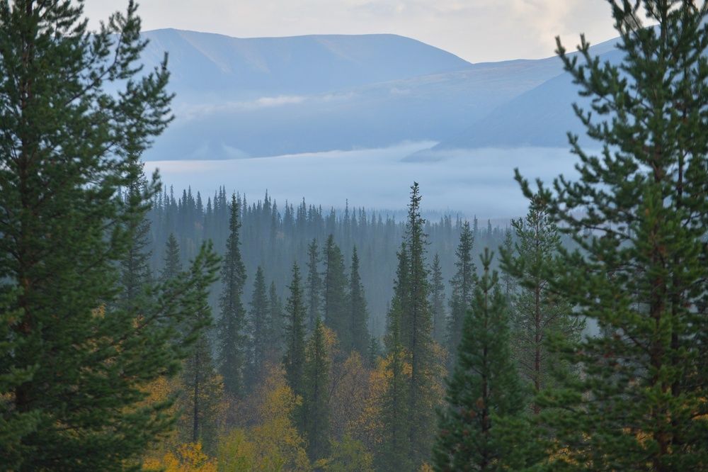 Photograph by Margareth Tikhonova