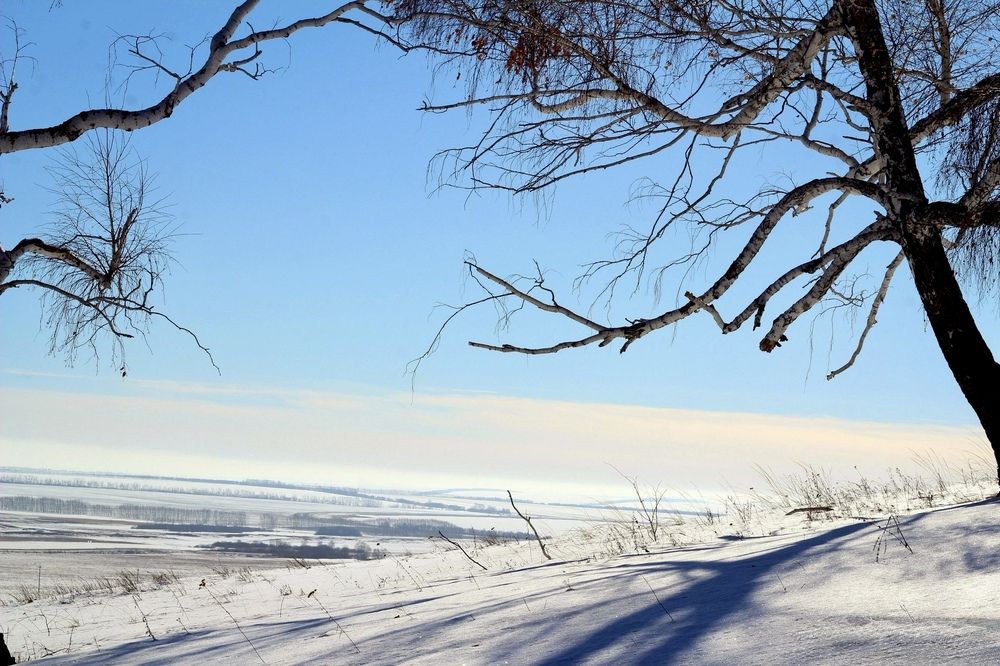 Photograph by Эльза Крюкова