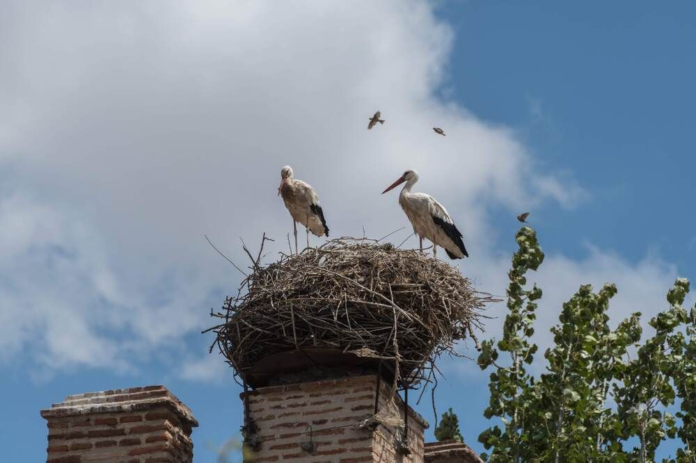 Photograph by Татьяна