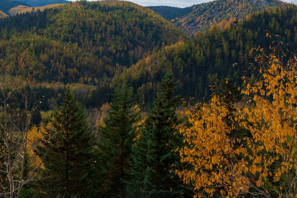 Photograph by Irina Luidinshina