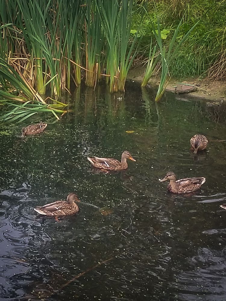 Photograph by Ксения Мельникова