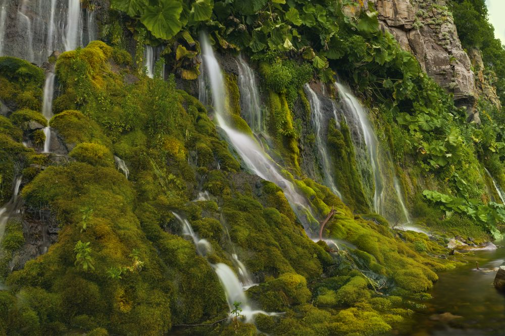 Фотография автора Анна Олещук