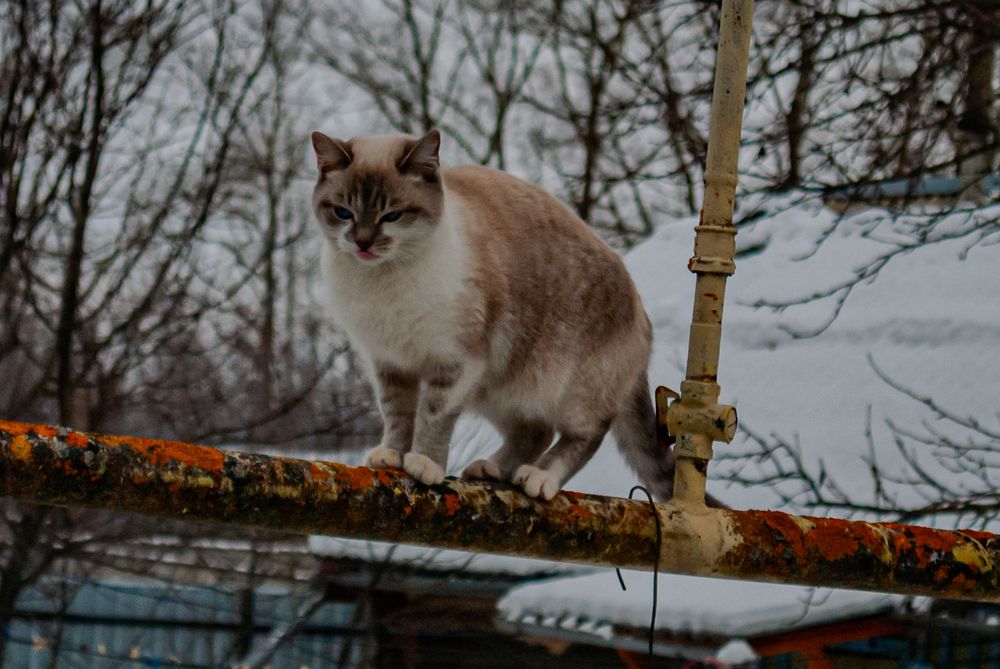 Photograph by Сергей Евсеев