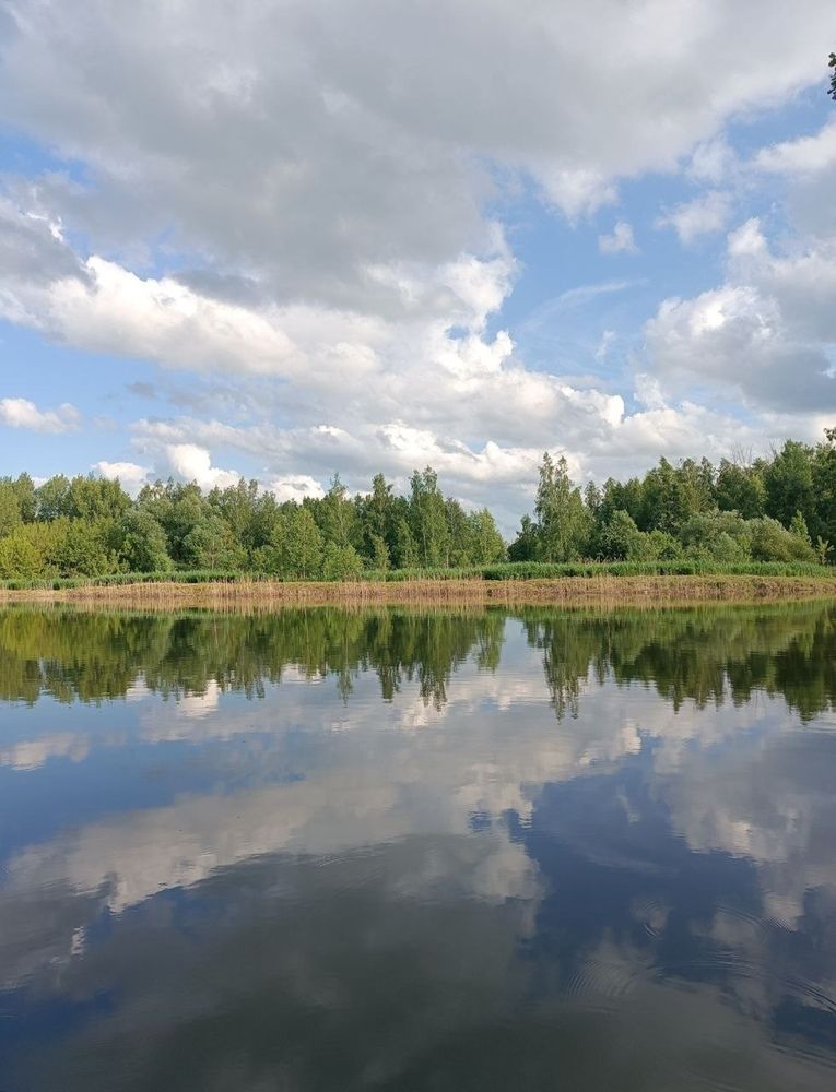 Photograph by Сидорова Ирина