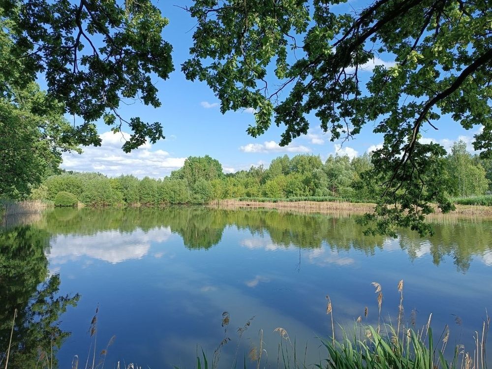 Photograph by Сидорова Ирина