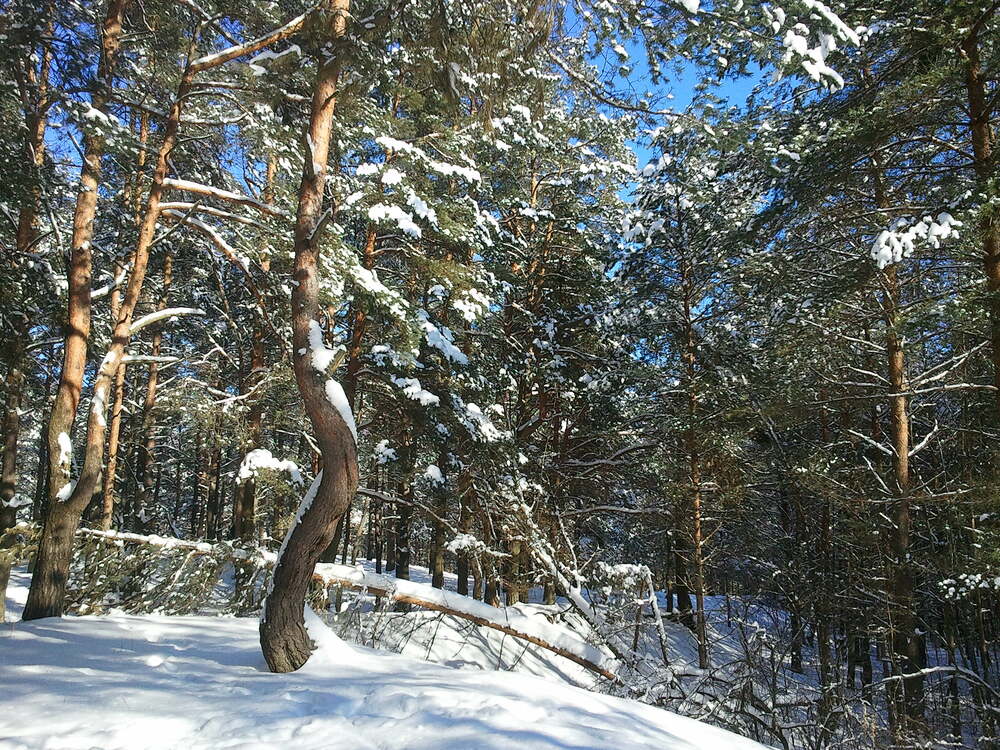 Photograph by Юлия