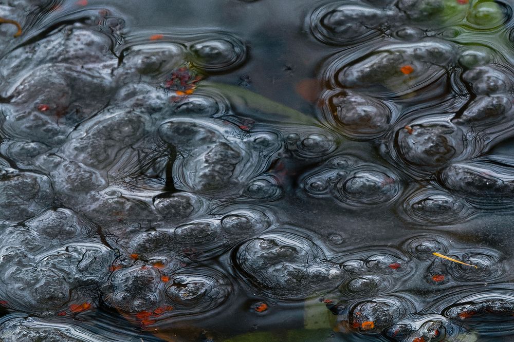 Photograph by  Marina