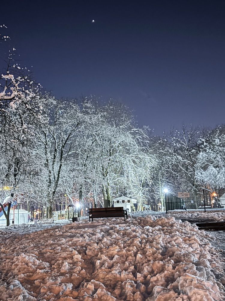 Photograph by Алина Мец