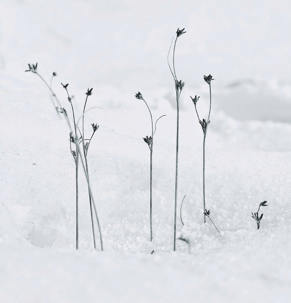 Фотография автора Ольга Маклакова