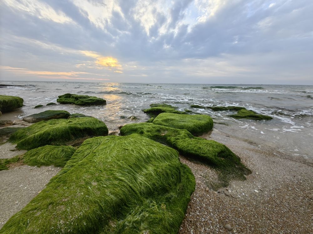 Photograph by Анастасия Тимарг