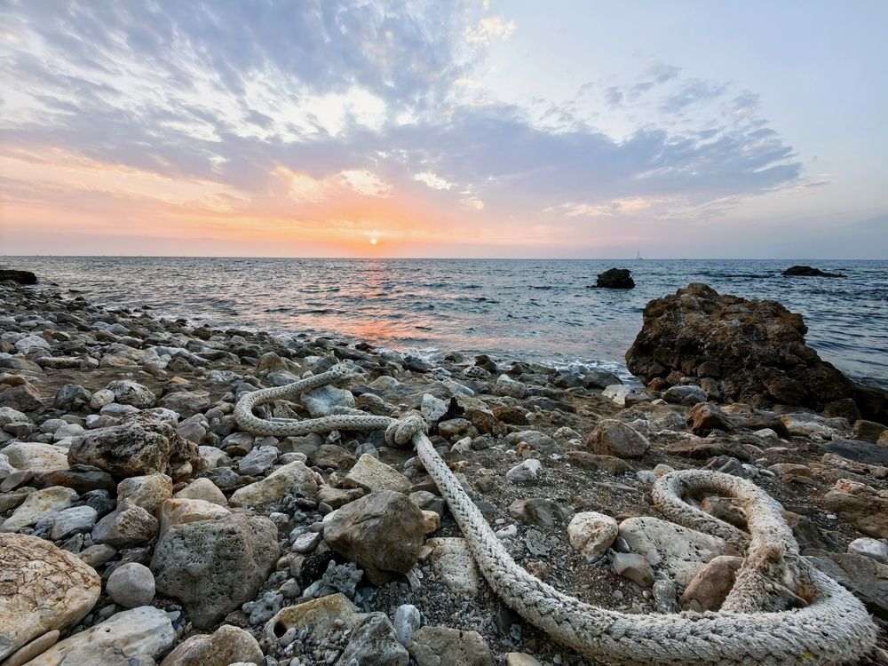 Photograph by Анастасия Тимарг