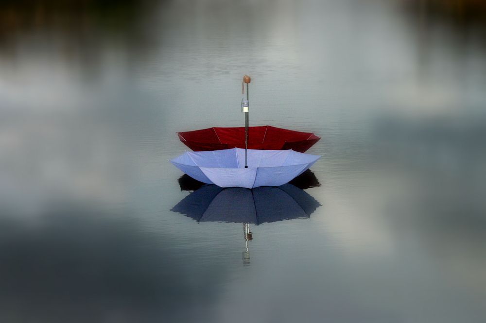 Фотография автора Nelya  Lysenko