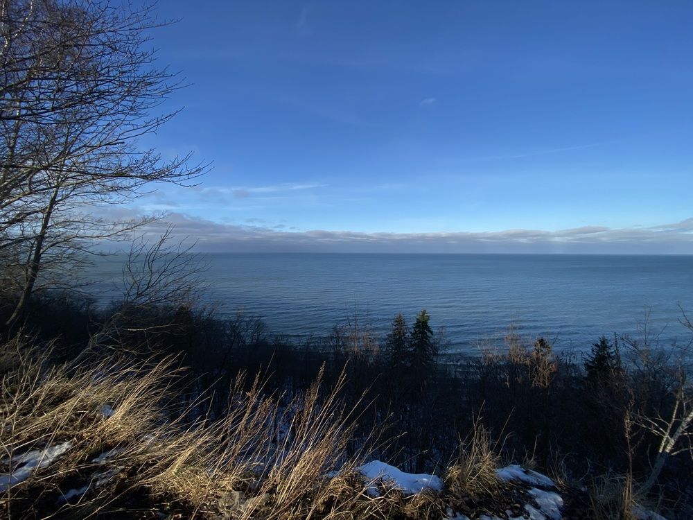 Photograph by Elena Kravchenko