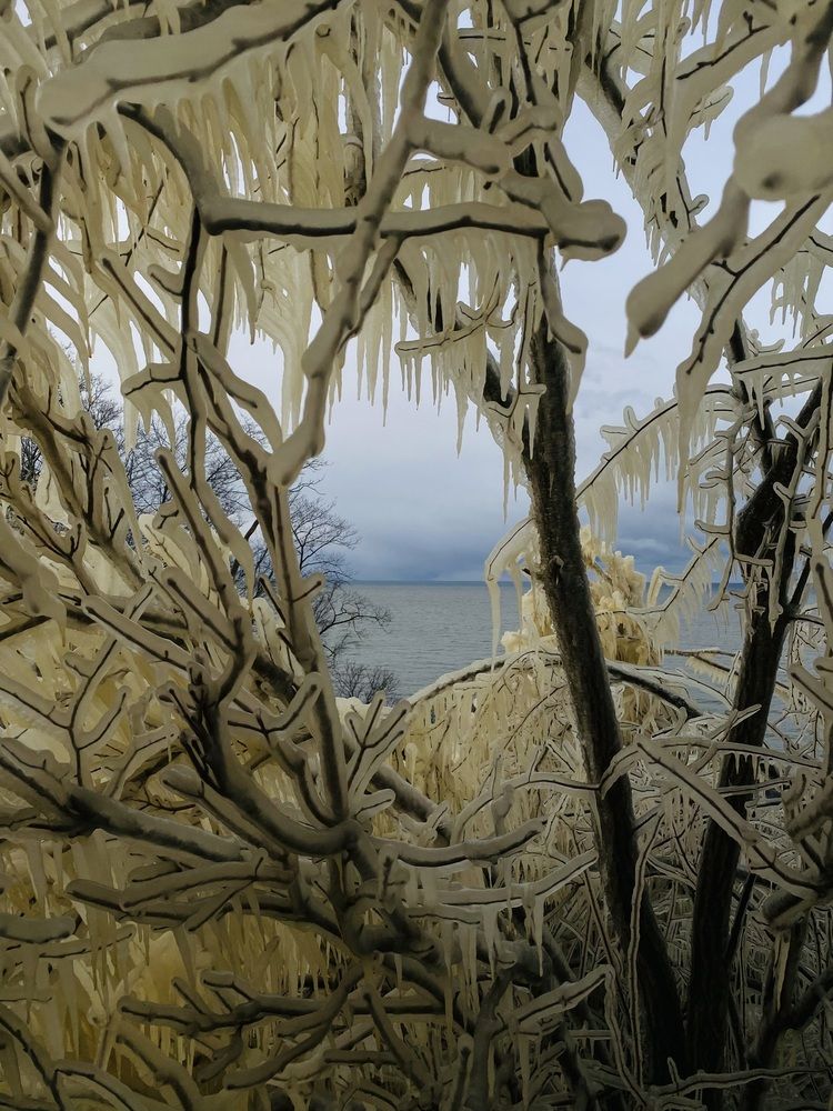 Photograph by Elena Kravchenko