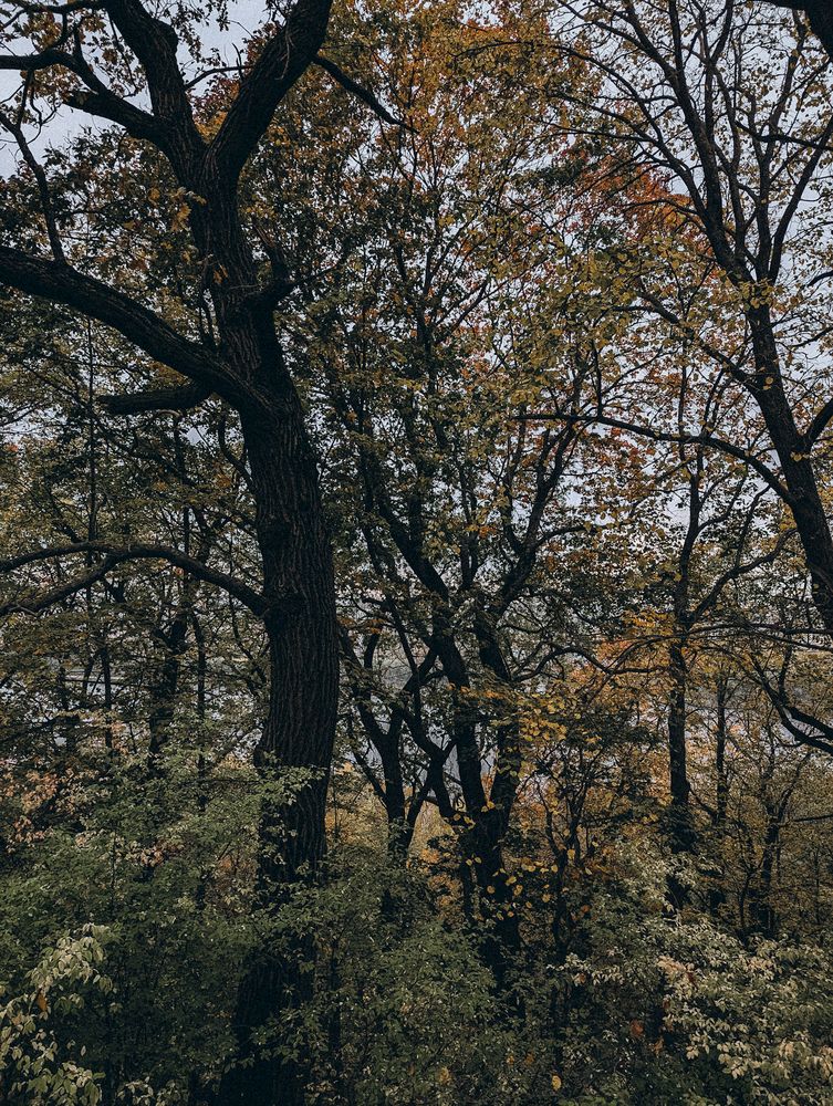 Photograph by Софья Титова