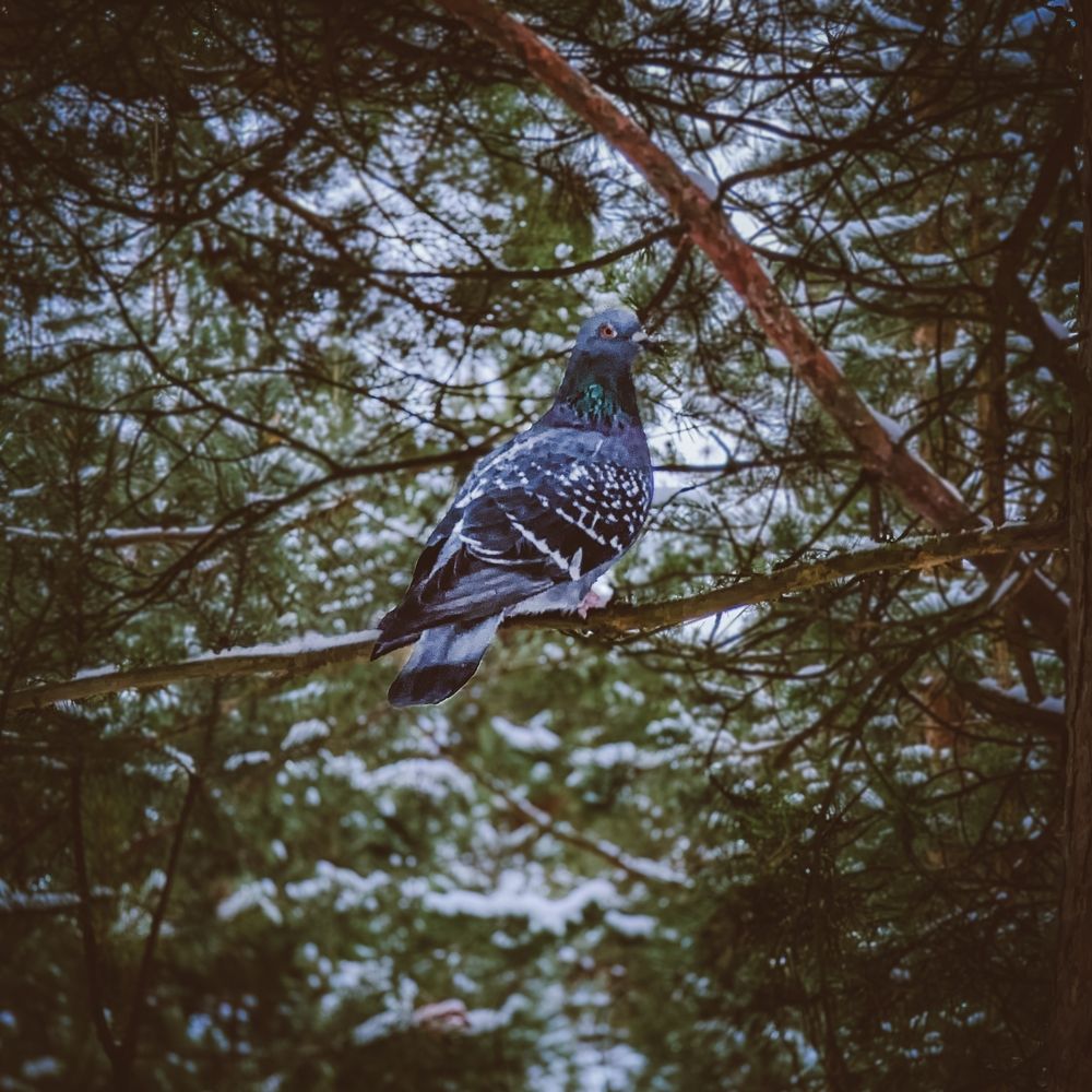 Photograph by Софья Титова