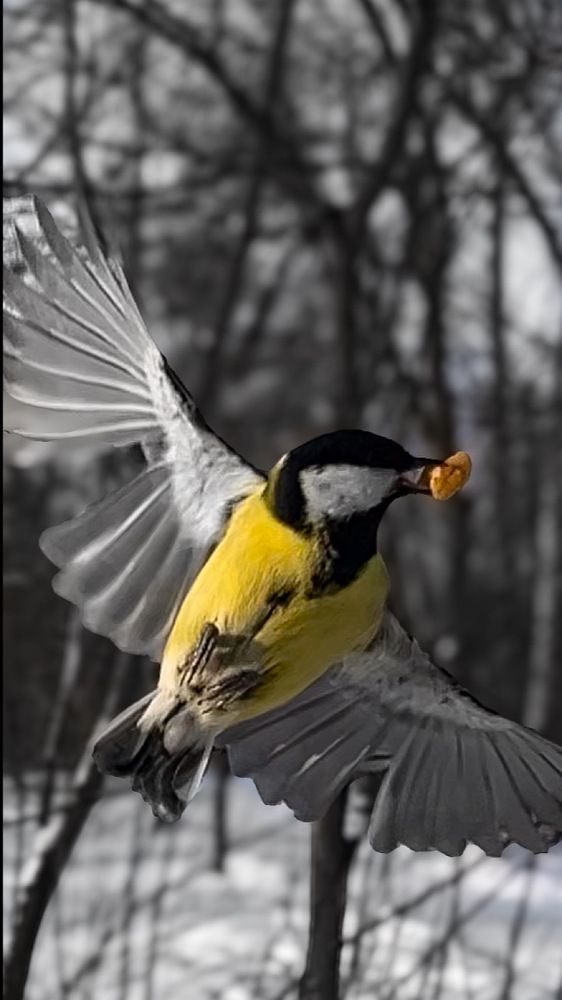 Photograph by Мария Карпычева