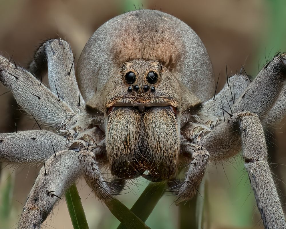 Фотография автора Craig Loechel