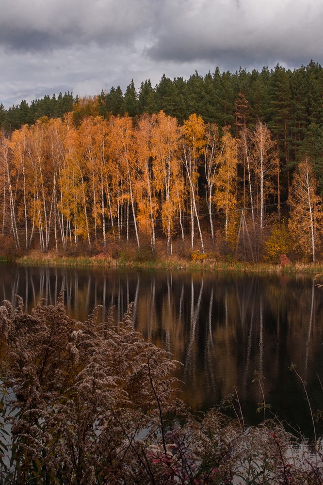 Photograph by Татьяна Псенкова