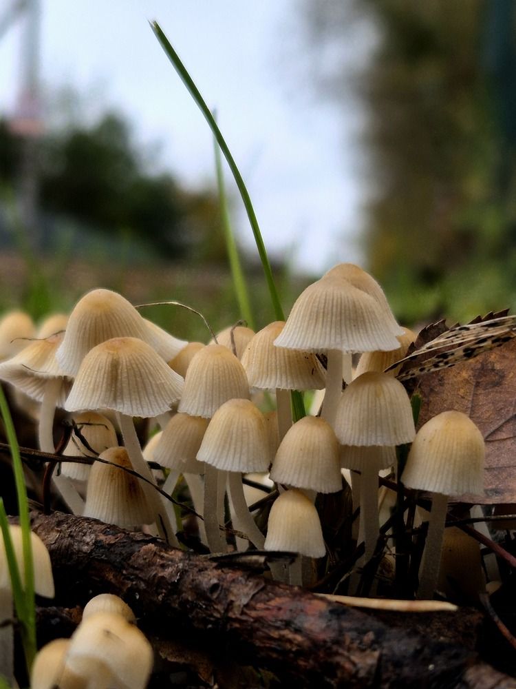 Photograph by Сергей Петров