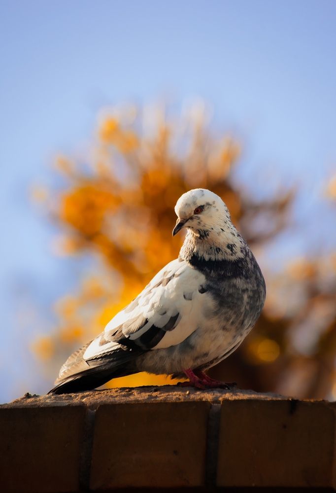 Photograph by Алексей Огненный