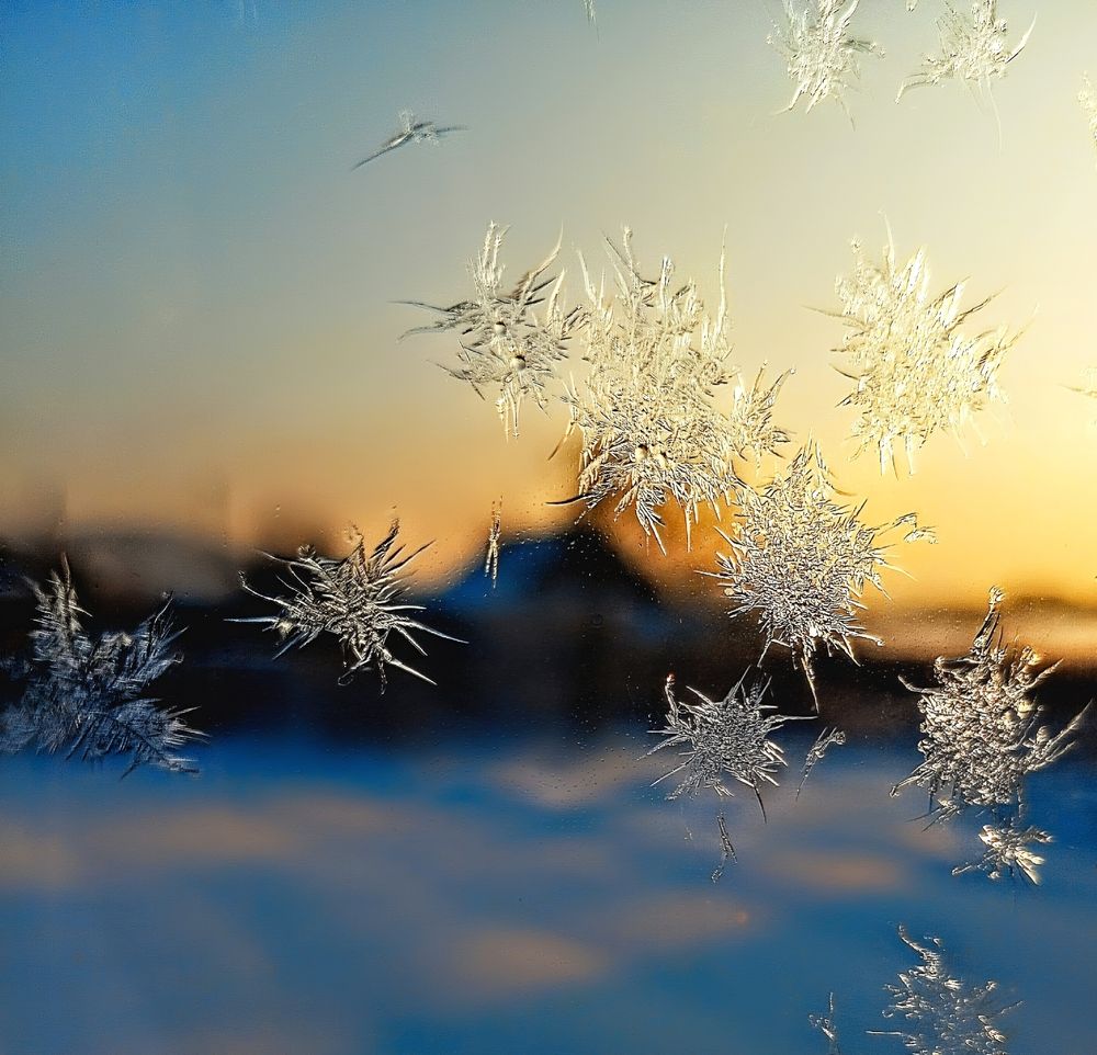Photograph by София Бояринцева