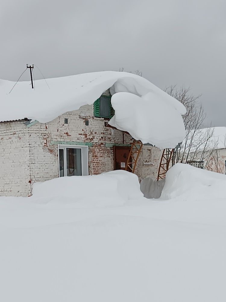 Photograph by Nikita Zorin