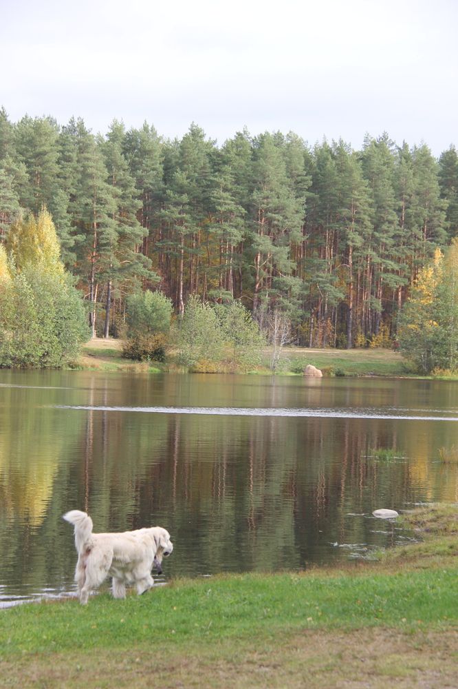 Photograph by Nikita Zorin