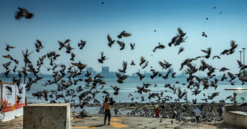 Photograph by Ольга Мусиенко