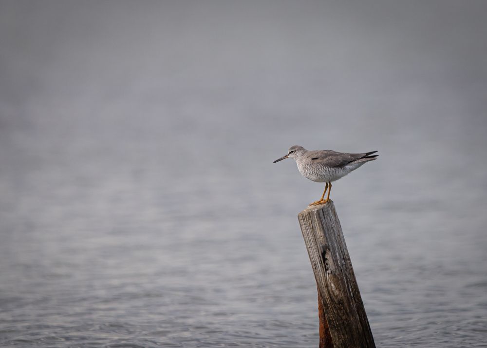 Photograph by Evgenia Loskutova